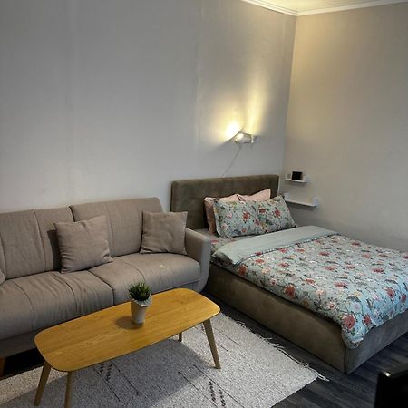 1 Bedroom Apartment Near Kadriorg Swan Pond Tallinn Ngoại thất bức ảnh